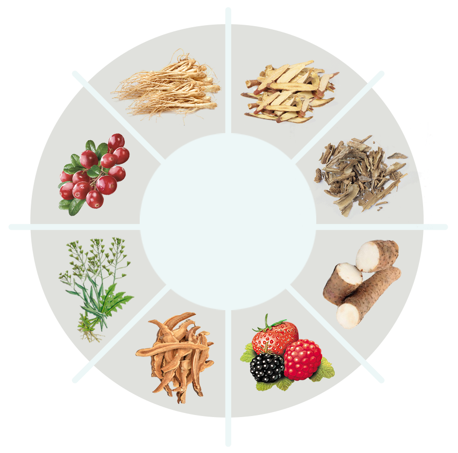 AquaFit Capsules ingredient profile